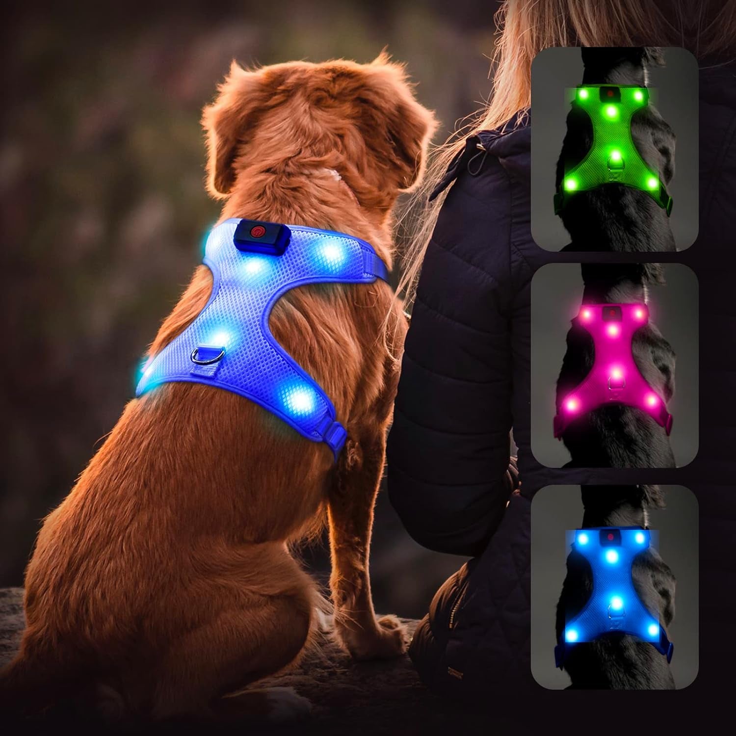 LED Dog Harness: USB Rechargeable + Adjustable Soft Padded + D-Ring 