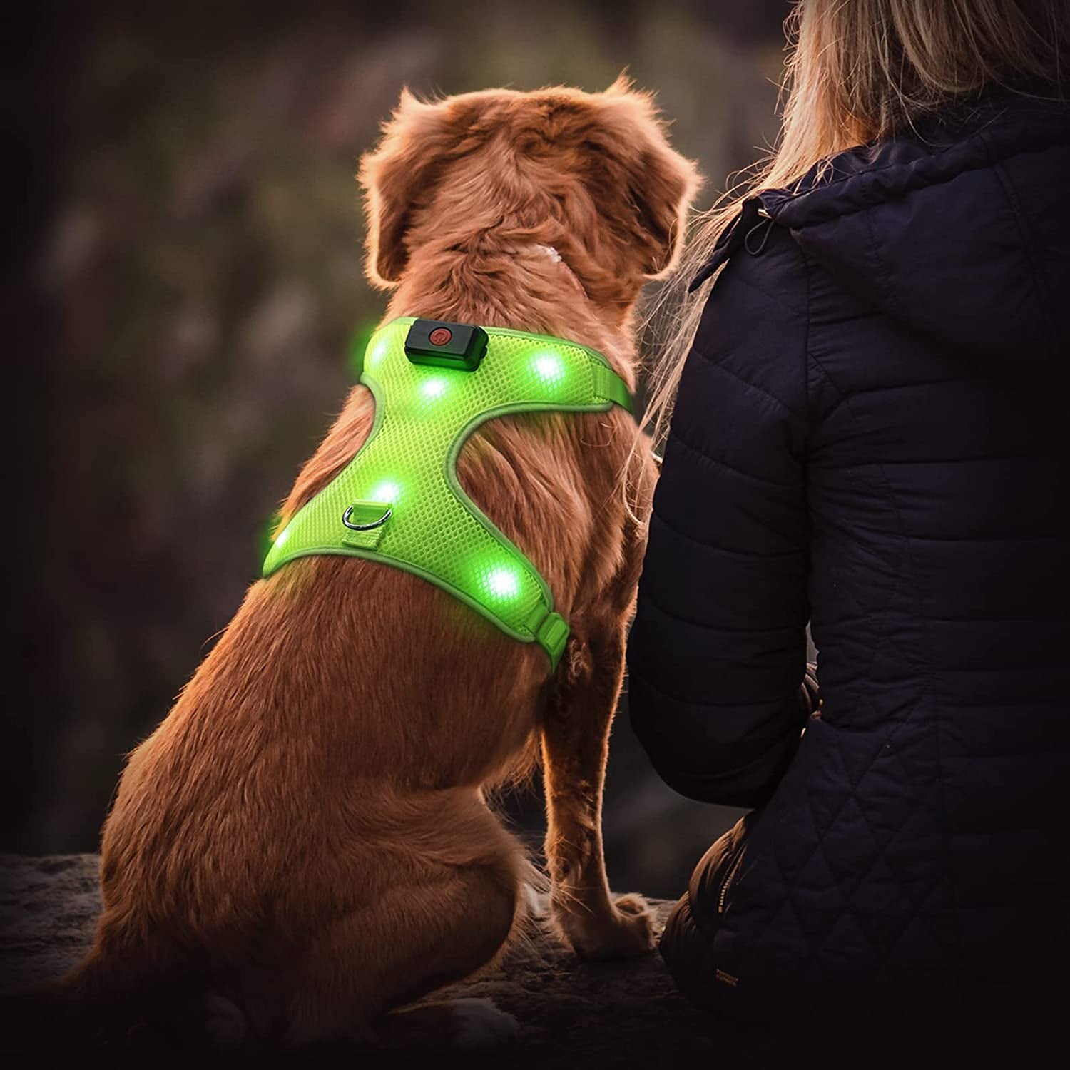 LED Dog Harness: USB Rechargeable + Adjustable Soft Padded + D-Ring 