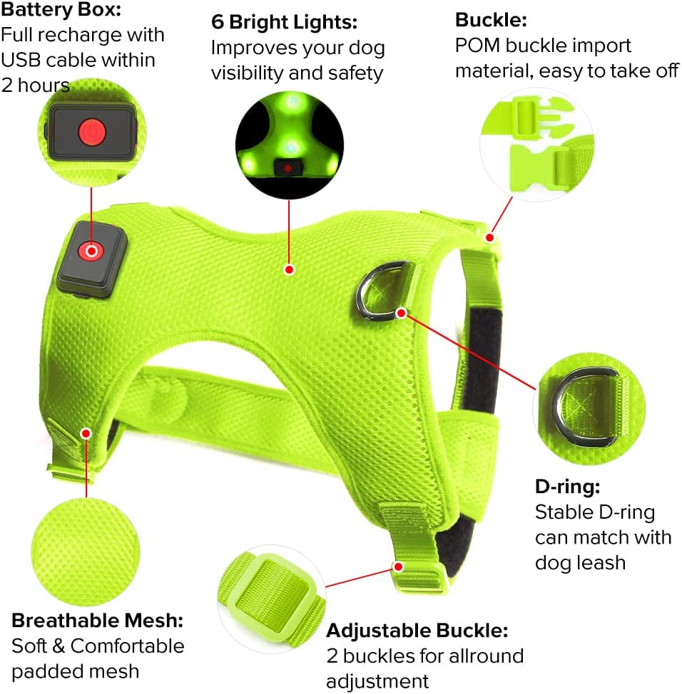 LED Dog Harness: USB Rechargeable + Adjustable Soft Padded + D-Ring 