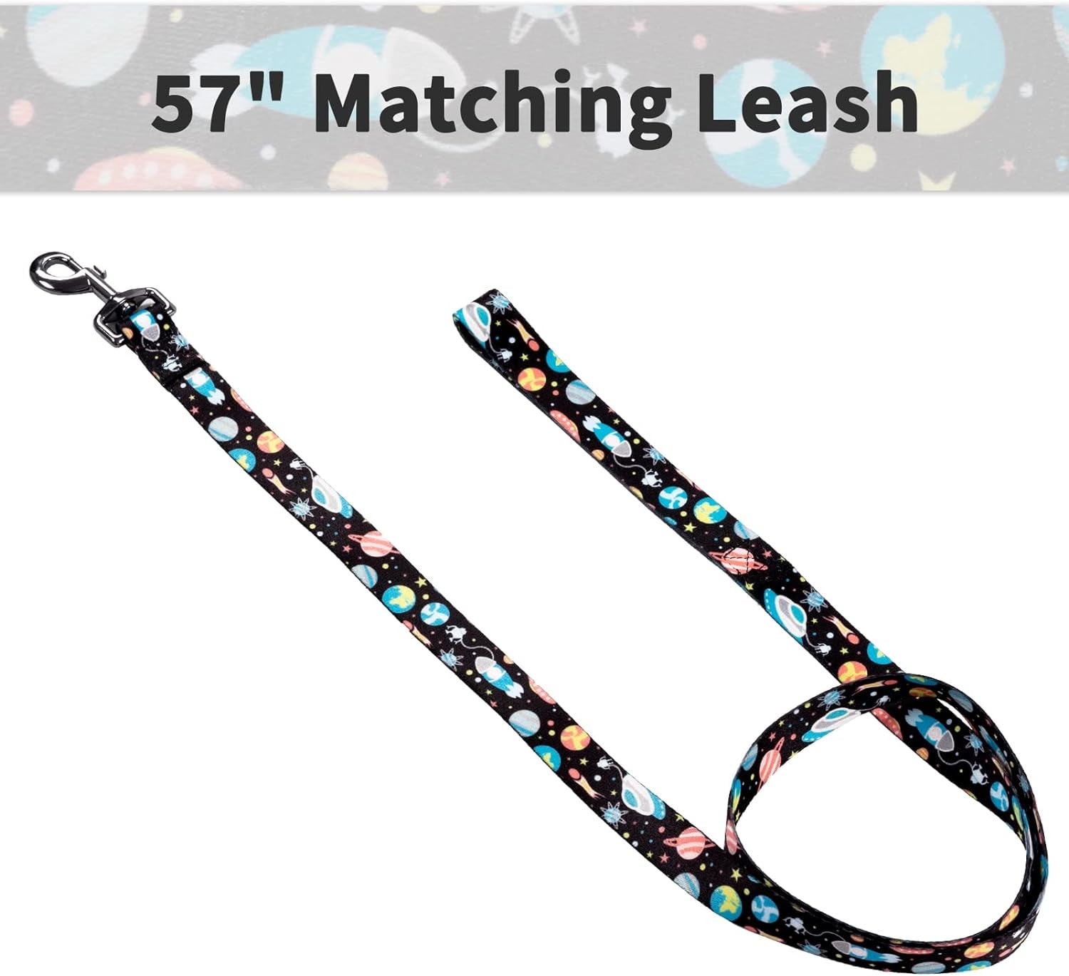 Dog Collar & Leash Set: Multi-Patterned