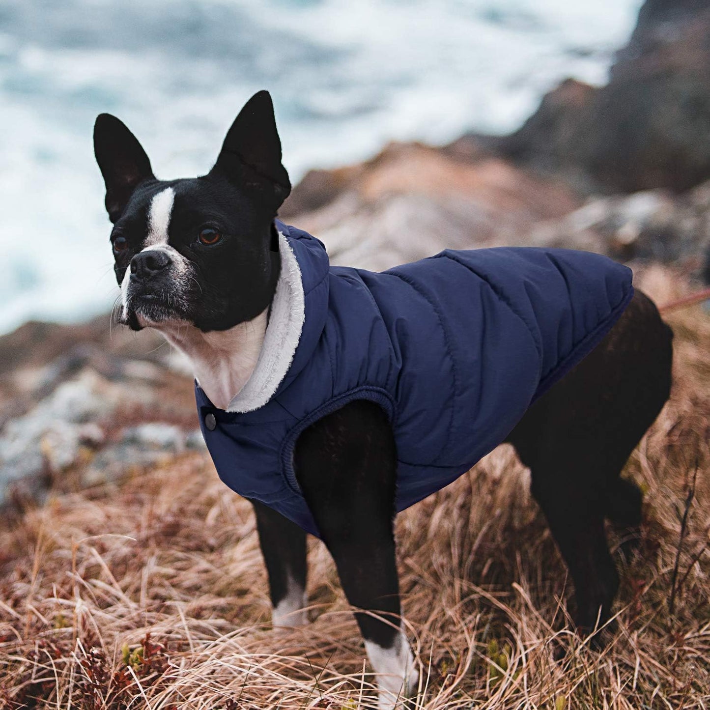 Fleece Hoodie: Windproof + Water-resistant + Cotton Lined 