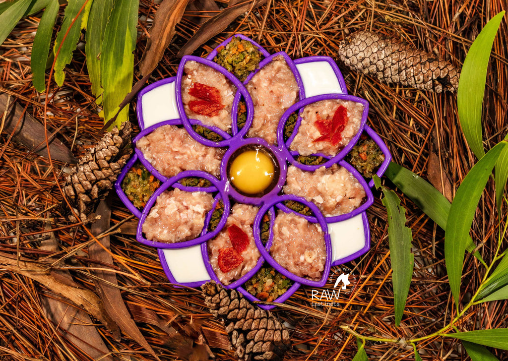 Raw Chicken & Turkey Meal Blend for Cats & Dogs — Prey Model Raw | Raw Instincts Florida