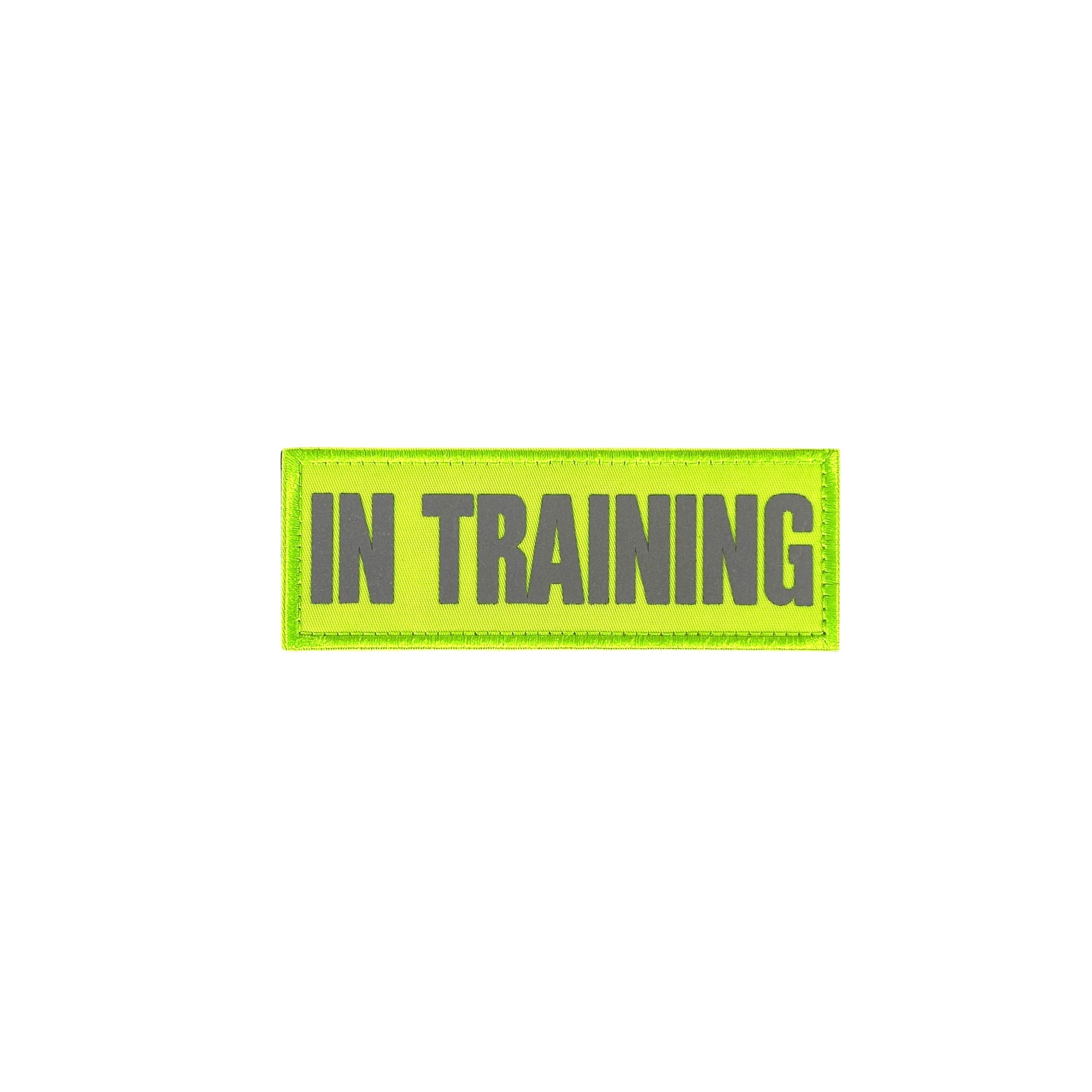 REFLECTIVE HIGH VISIBILITY NEON Tag Patch