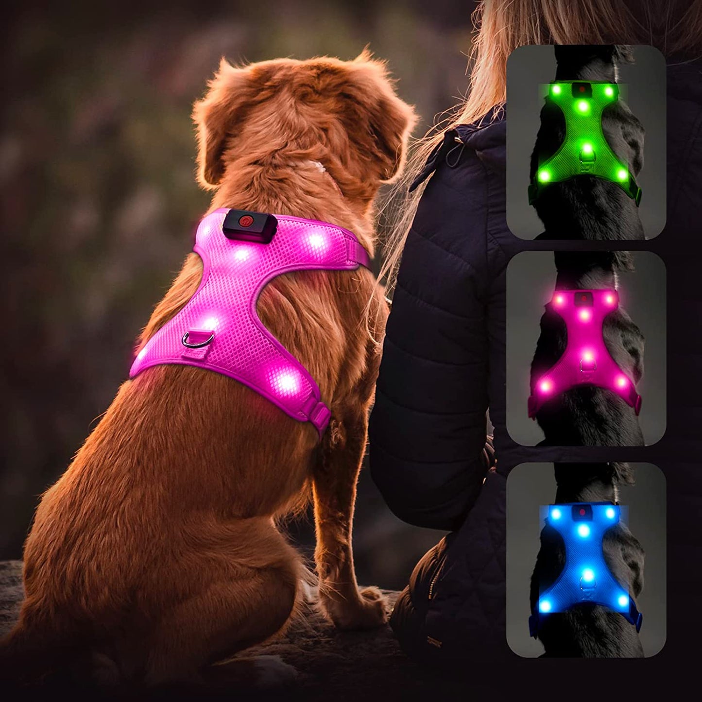 LED Dog Harness: USB Rechargeable + Adjustable Soft Padded + D-Ring 