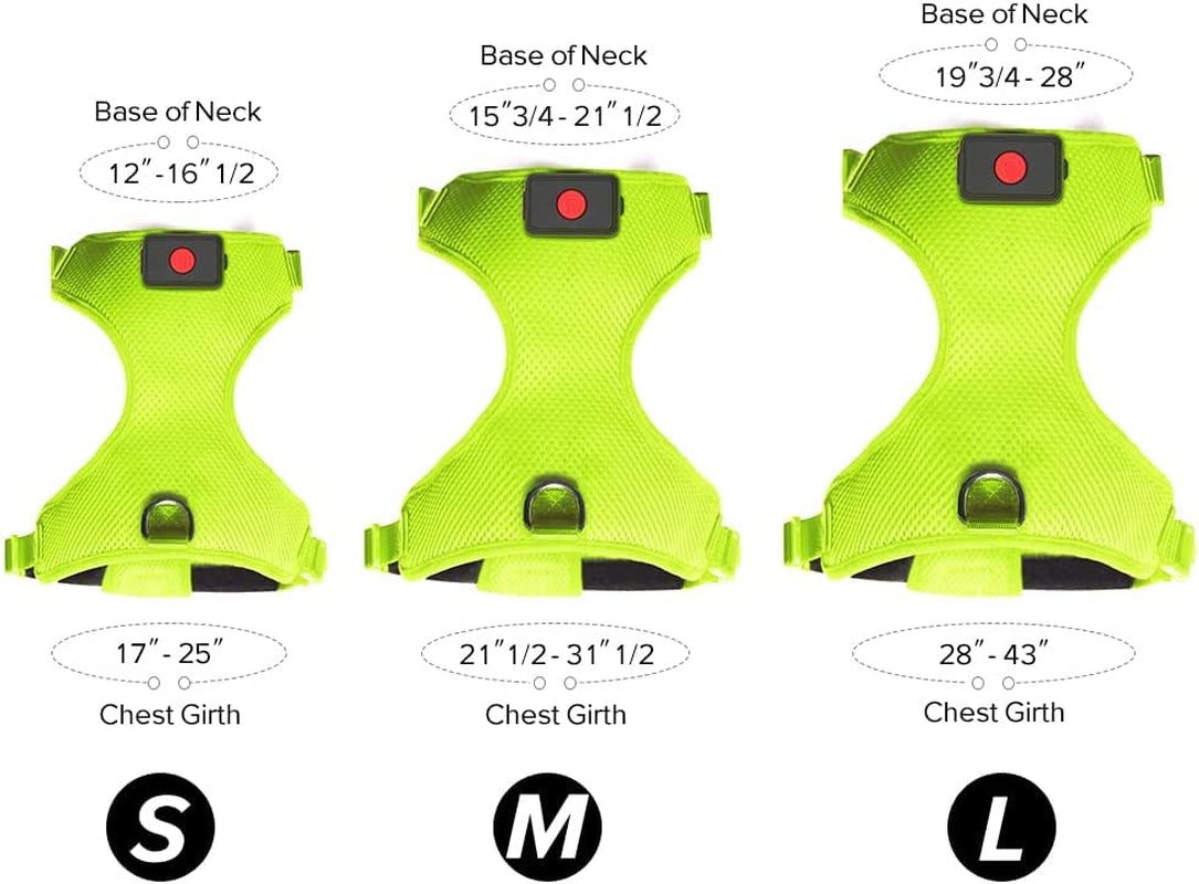 LED Dog Harness: USB Rechargeable + Adjustable Soft Padded + D-Ring 