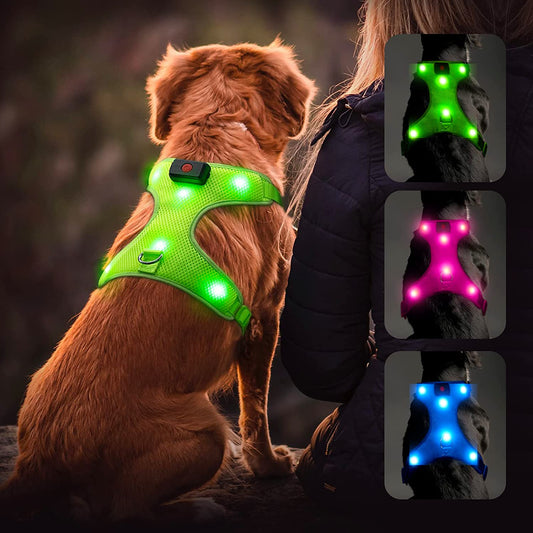 LED Dog Harness: USB Rechargeable + Adjustable Soft Padded + D-Ring 