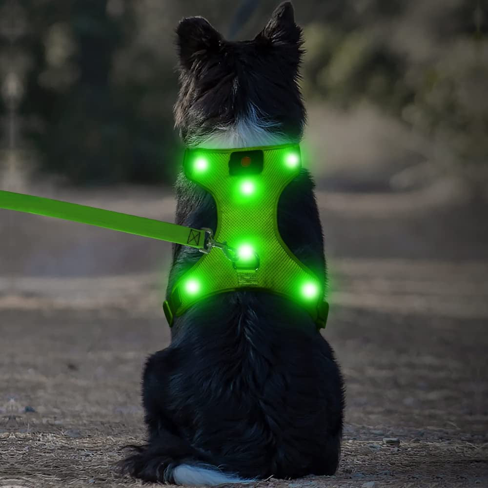 LED Dog Harness: USB Rechargeable + Adjustable Soft Padded + D-Ring 